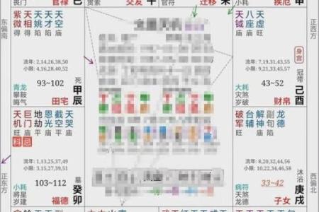 紫微斗数孤 紫微斗数孤辰在夫妻宫？