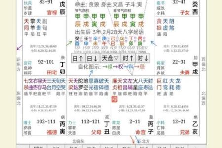 紫薇斗数星盘图片