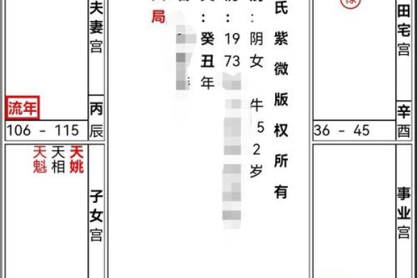 紫薇斗数流年看父母