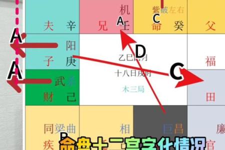 紫微斗数之四化论断法详释：四化详释