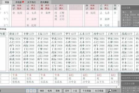 新派八字排盘软件下载