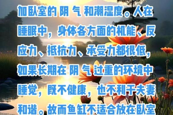摆鱼缸的风水禁忌