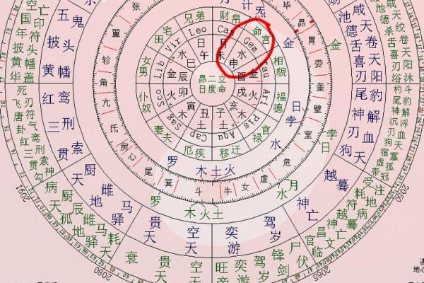 灵动紫薇斗数排盘