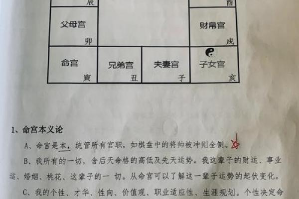 庄式紫薇斗数排盘