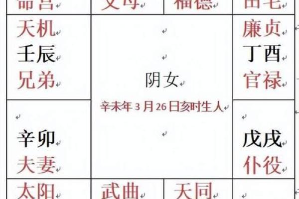 刘恒紫薇斗数