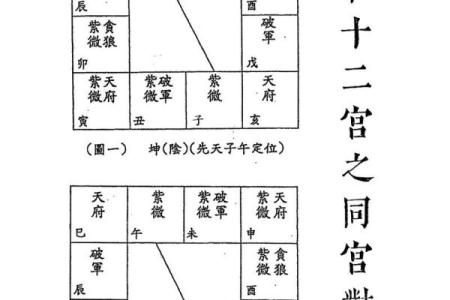 紫薇斗数难学吗