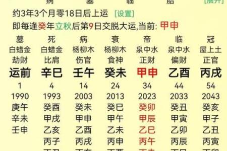两位老婆八字详批及合，为您解析八字姻缘