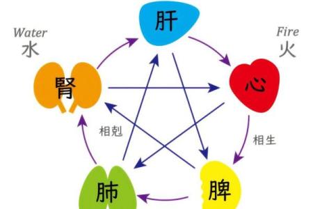 八字和三才