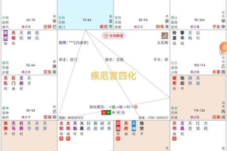 紫薇斗数水宫