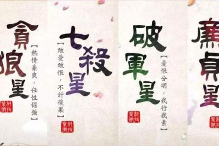 紫微斗数成大事的命格,官禄宫事业领导力强