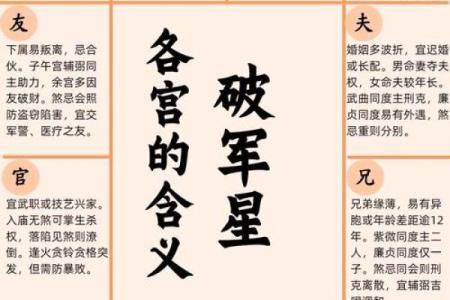 《紫微斗数》：廉贞破军在卯酉宫