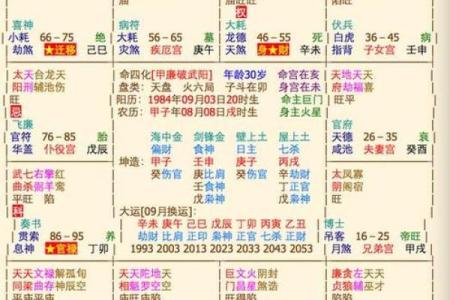 灵动紫薇斗数排盘