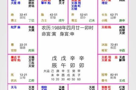 庄式紫薇斗数排盘
