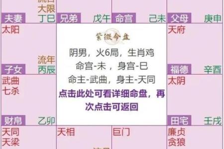 紫薇斗数12宫位