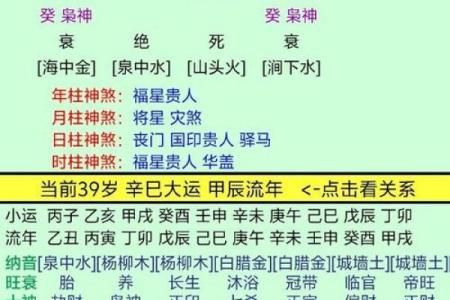 八字真宗精解书：深度解析你的八字命格特点