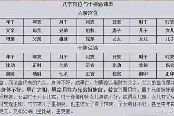 八字看配偶：日支十神看夫妻相处，什么样的人会有理想伴侣？