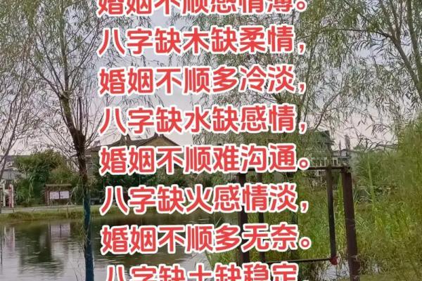 互补的八字