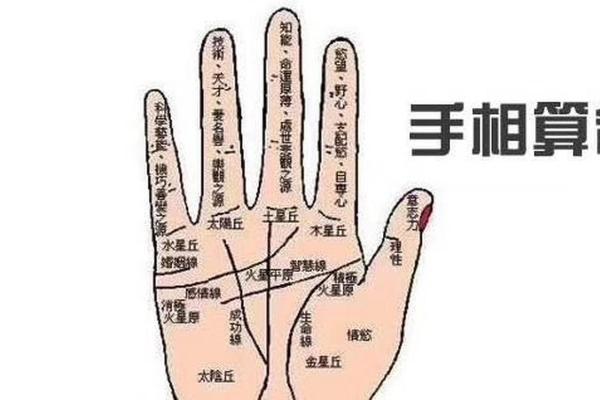 凯帝阿手相算命图解大全01