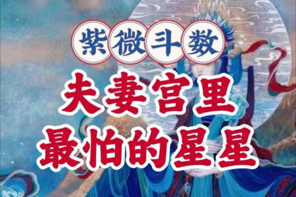 紫微斗数之各星曜所主行业:看婚姻 紫微斗数之各星曜所主行业:看婚姻