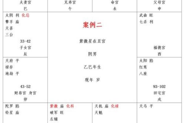 紫薇命盘紫薇斗数
