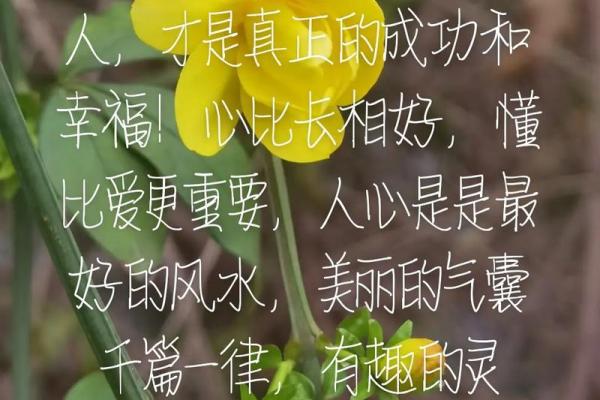 让爱情更加甜蜜的五大风水妙招