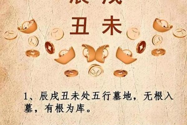 八字华盖