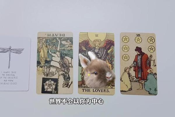 塔罗测试：9月你的桃花会不会来？