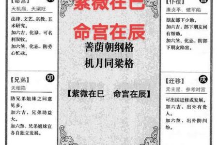 紫薇斗数一岁在哪里