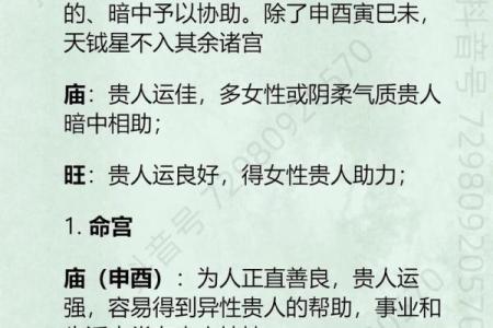 紫薇星明什么意思