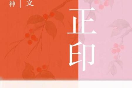 八字子星