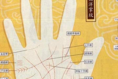 凯帝阿手相算命图解大全01