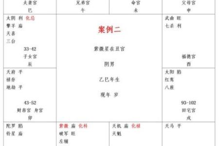 紫薇命盘紫薇斗数