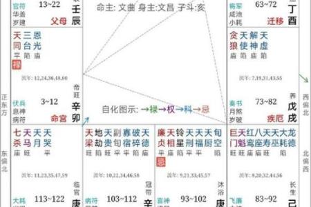 紫薇斗数科权禄相会