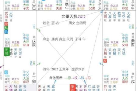 紫薇斗数流年2004