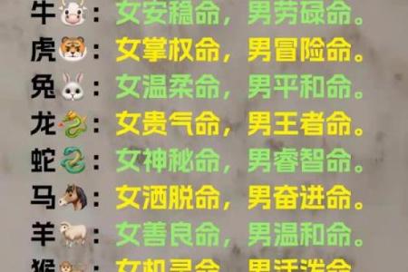 命相故事，如何通过看面相算命