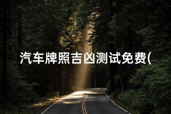 测试汽车牌照吉凶方法查询