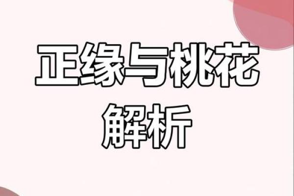算命桃花什么意思