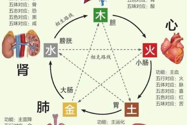 有名的老中医竟然都会算命？中医与五行八卦是什么关系？