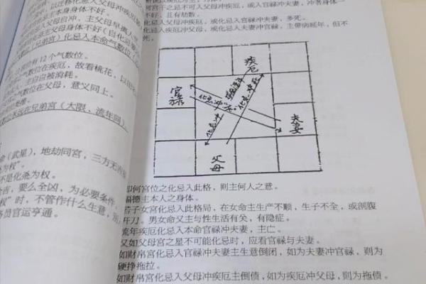 紫薇斗数案例书籍