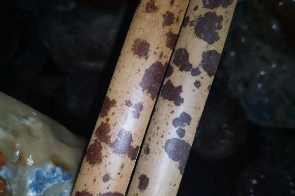 湘妃竹风水