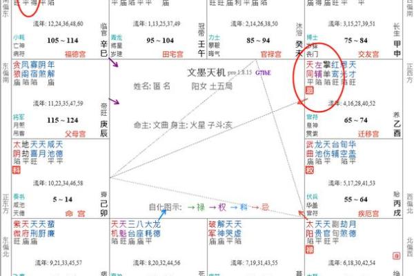 紫薇斗数36颗星代表什么