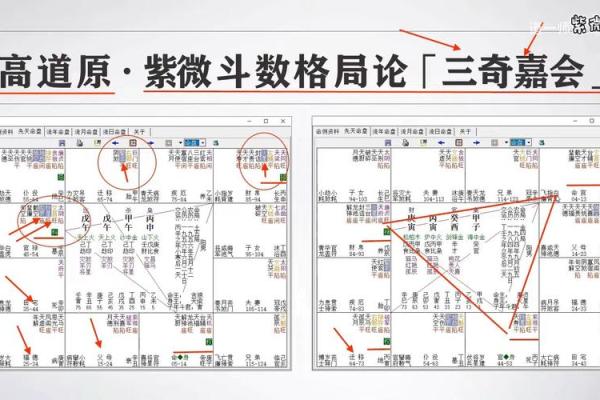 紫薇斗数突破天罗地网
