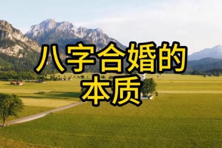 八字合婚痛苦怎么办呀
