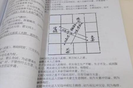 紫薇斗数案例书籍