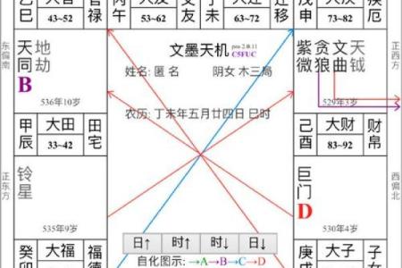 紫微斗数命盘大运流年解析0623