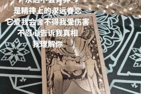 塔罗牌测试，哪种恋人会让你觉得很暖？