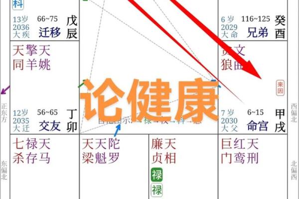 紫薇七杀文曲在疾厄宫