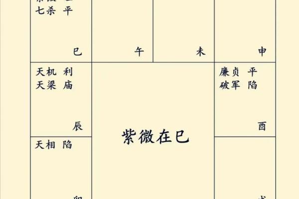 紫微斗数之基本术语