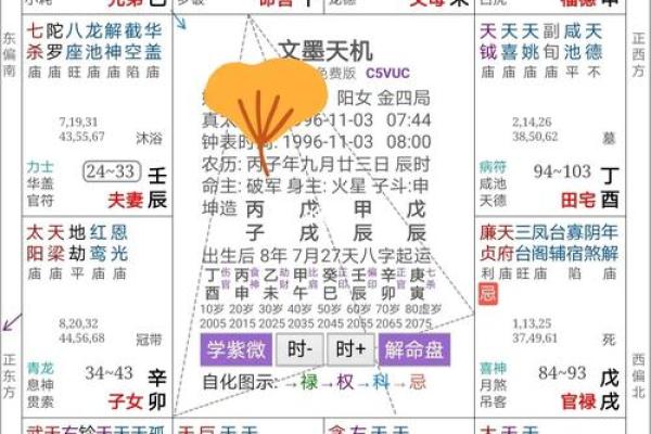 紫薇星劫满