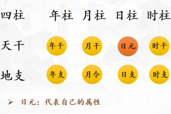 教你看八字 八字教学教程（四）